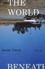 Aaron Gwyn 2
