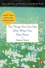Haemin Sunim 1