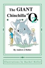 Andrew J Heller 3