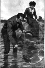 Henry Kitchell Webste 1