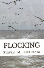 Steven M Greenberg 1