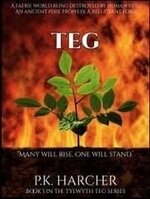 Teg 1