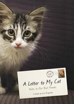 Cat Masters 3
