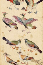 Farid ud-din Attar 1