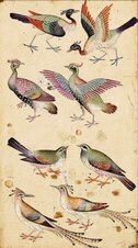 Farid ud-din Attar 1