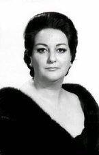 Farida Mestek 1