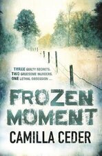 Frozen Moment 1