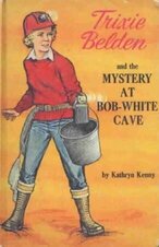 Trixie Belden 40