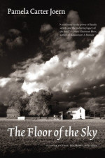 Pamela Carter Joern 1