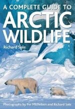 Richard Sale 1