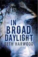 Seth Harwood 2