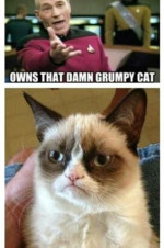 Grumpy Cat 1