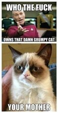 Grumpy Cat 1
