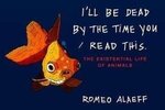 Romeo Alaeff 1