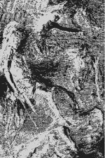 Fritz Galt 1