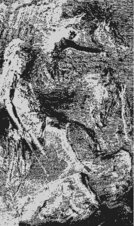 Fritz Galt 1