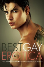 Best Gay Erotica 5