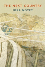 Idra Novey 1