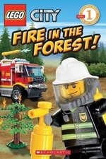 LEGO 9