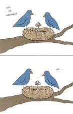 Liz Climo 1