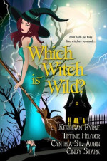 The Witches of Port Townsend 2
