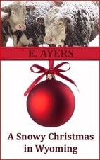 E Ayers 2