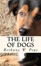 Bethany W Pope 1