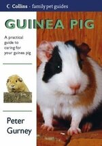 Peter Gurney 1